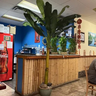 Back area