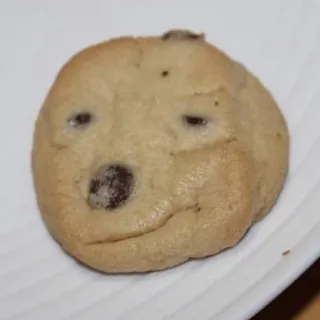 SmugDog C.