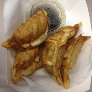 Fried Chicken Potstickers