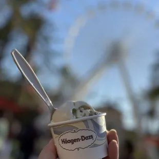 Yummy Pistachio 08.18.24