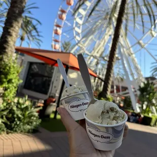 Yummy Pistachio 08.18.24