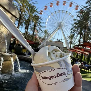 Yummy Pistachio 08.18.24