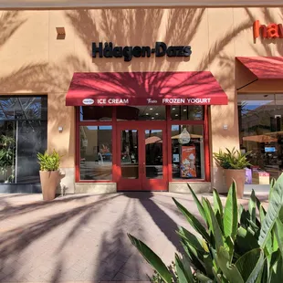 the entrance to the store