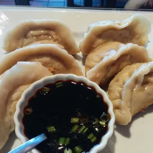 Pan Fried Dumplings