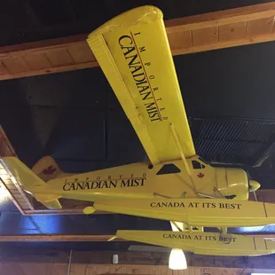 Airplane hanging above the bar