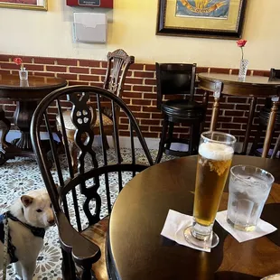 Perro y cerveza!