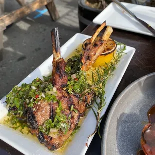 Grilled Lamb Chops