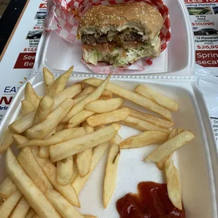Cheese Burger with Fries