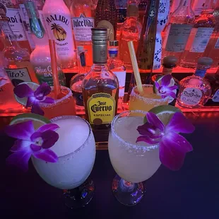 House and flavor margaritas