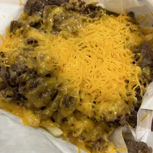 Carne Asada Fries