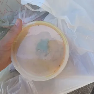 Spicy Hummus $6