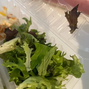 This was the side "salad" no dressing or other vegetables. Just a pinch of lettuce?