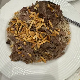 a plate of beef and rice