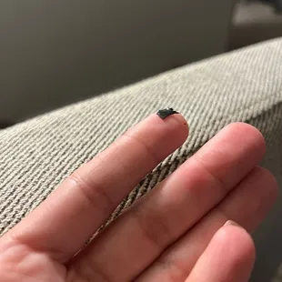 Piece of plastic in my burger.