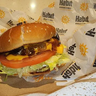 THE Original Char Cheeseburger  Charburger with Cheese