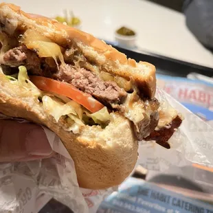 a person holding a sandwich