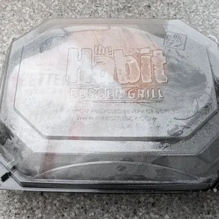 Didn't think they'd put the Veggie Burger with Cheese inside this box!