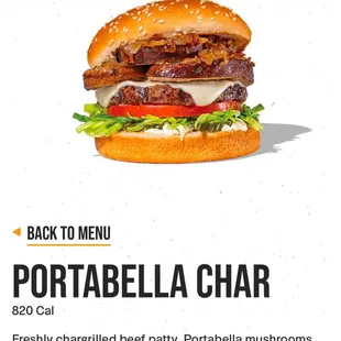 What it was suppose to look like