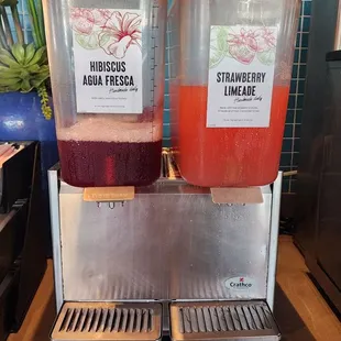 Beverages made fresh daily