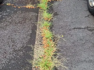 Nob Hill Assn of Owners