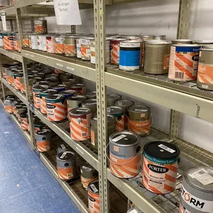 Lots of paint, small and large buckets