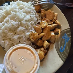 Kids teriyaki chicken