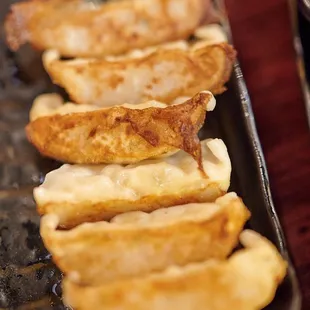 Gyoza