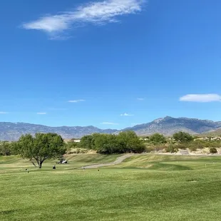 Patio Views
