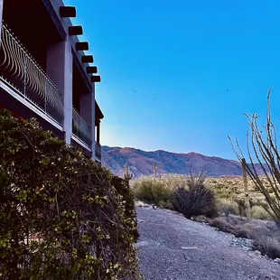 Patios