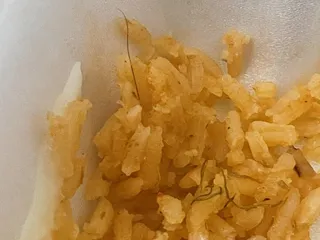 Taqueria Zavala No. 3