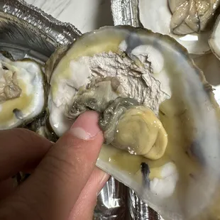 a person picking a oyster