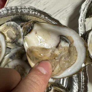 a person picking a oyster