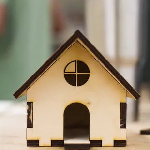 Lasercut model house