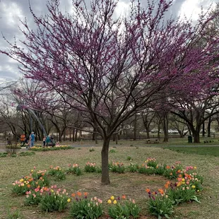 Spring is here