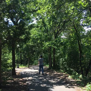 Beautiful woods on the hiking trail!