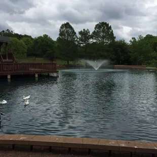 Fountain