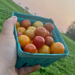 Haffey Family Farm