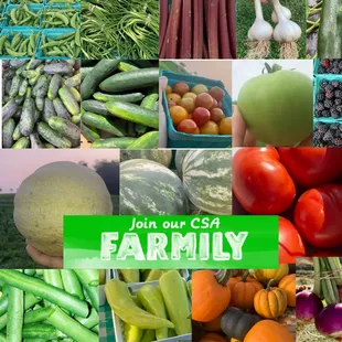 Haffey Family Farm
Community Supported Agriculture