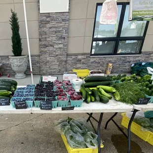 Cabbage, zucchini, blueberries, raspberries, plums, dill, peppers, etc.