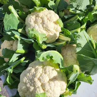 Haffey Family Farm
Cauliflower
