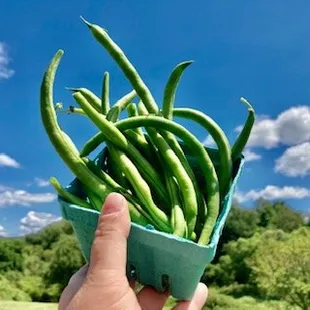 Haffey Family Farm
green beans