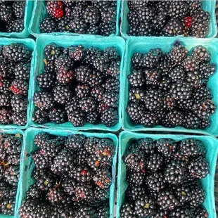 Haffey Family Farm
Blackberries