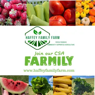 Community Supported Agriculture Haffey Family Farm Pittsburgh CSA