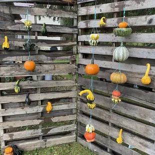 Adorable! These were for sale!