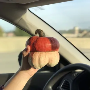 Omg so cute pumpkin