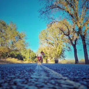Bike road