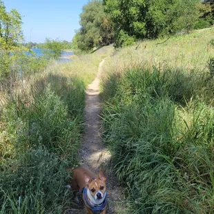 Off the bike road