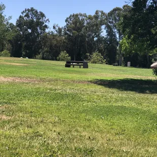 Only benches seen. No playgrounds. Could be behind trees way in back.