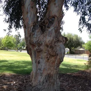 I've been around a while!