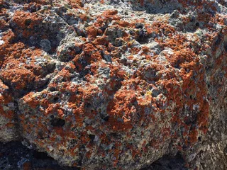 Tomo-Kahni State Historic Park